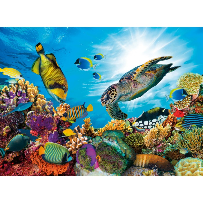 Puzzle Nathan-00954 Coral Reef