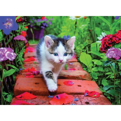 Puzzle  Nathan-00968 Chaton