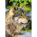 Puzzle  Nathan-01146 European Grey Wolf