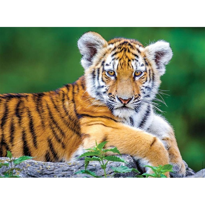Puzzle Nathan-86154 XXL Teile - Tigerbaby