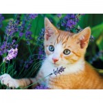 Puzzle  Nathan-86182 XXL Pieces - Red Kitten in Lavendar