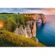 Wurzeln und Flügel - Blick auf die Klippen von Étretat