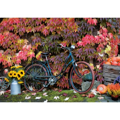 Puzzle  Piatnik-5582 Autumn