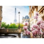 Puzzle  Ravensburger-00366 Springtime in Paris