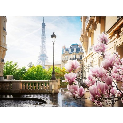 Puzzle  Ravensburger-00366 Springtime in Paris