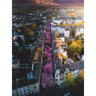 Puzzle  Ravensburger-00730 Bonn in Flowers