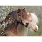 Puzzle  Ravensburger-12986 XXL Pieces - Horses