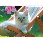 Puzzle  Ravensburger-13289 XXL Pieces - White Kitten