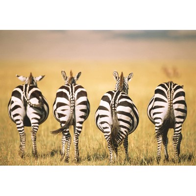  Ravensburger-13312 Puzzle Moment - Zebra