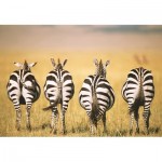  Ravensburger-13312 Puzzle Moment - Zebra