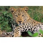 Puzzle  Ravensburger-13345 XXL Teile - Vio der Leopard