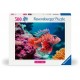 Feuerfisch - Highlight Puzzle - Bunte Tiere