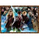 Harry Potter (TM)