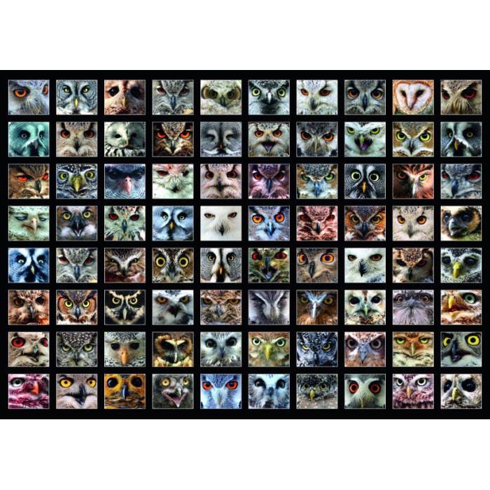 Puzzle Roovi-74331 Collage - Eulen