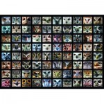 Puzzle  Roovi-74331 Collage - Owls