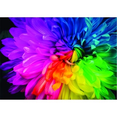 Puzzle  Roovi-79381 Rainbow Flower