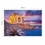 Puzzle  Roovi-79992 Constanta Casino