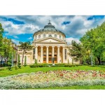 Puzzle  Roovi-80660 Romanian Athenaeum, Bucharest