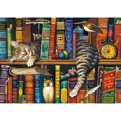 Puzzle  Schmidt-Spiele-59991 Frederick the Literate