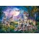 Loups