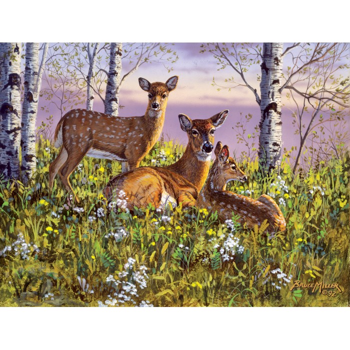 Puzzle Sunsout-43014 XXL Pieces - Spring Twins