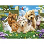 Puzzle  Sunsout-54923 XXL Teile - Pups n Kittens