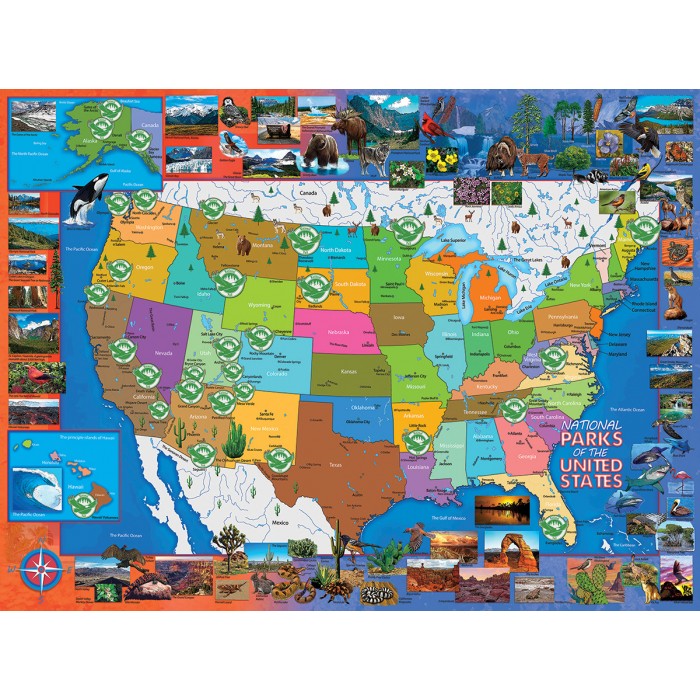 Puzzle Gerald Newton - National Parks of the USA Sunsout-62440 1000 pieces  Jigsaw Puzzles - World Maps and Mappemonde - Jigsaw Puzzle
