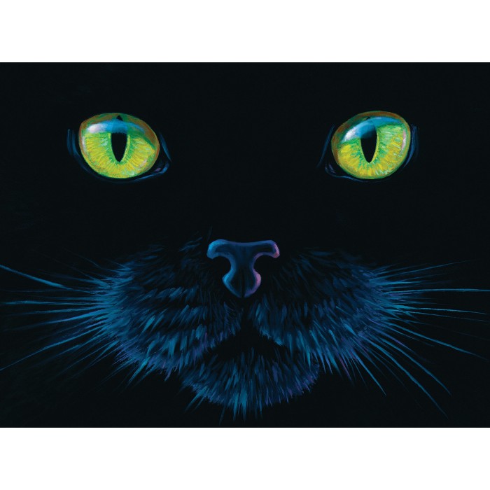 Puzzle Sunsout-63346 Charles Lynn Bragg - Black Cat