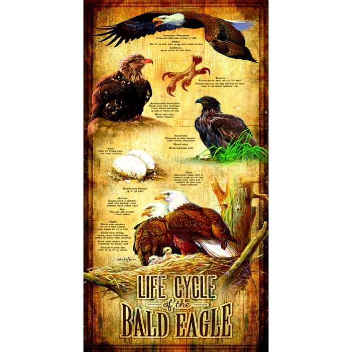 Puzzle Sunsout-66406 XXL Pieces - Life Cycle of the Bald Eagle