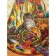 Kitten and Wool