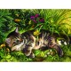 Nadia Strelkina - Garden Kitten Play