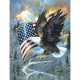 Pièces XXL - American Eagle