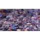 Puzzle Mystère sans Boite & sans Image - Sachet de 750 Pièces