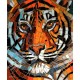 Stained Glass Tiger
