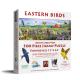 XXL Pieces - Eastern Birds