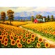 XXL Pieces - Red River Sunflower Farm