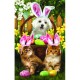 XXL Pieces - Tom Wood -  Easter Bunny in Training