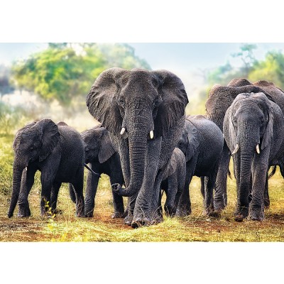 Puzzle  Trefl-10442 Afrikanische Elefanten