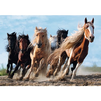 Puzzle  Trefl-10446 Pferde