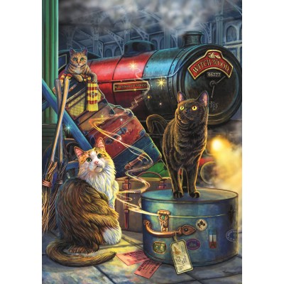 Puzzle  Trefl-10897 Magic Collection: Witchwood Express