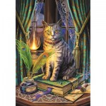 Puzzle  Trefl-10899 Magic Collection: Book of Shadows