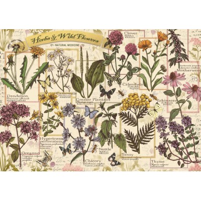 Puzzle  Trefl-37478 Herbarium: Medicinal Herbs