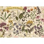 Puzzle  Trefl-37478 Herbarium: Medicinal Herbs
